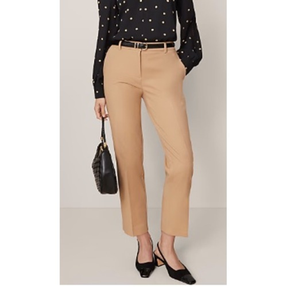 Ann Taylor Beige Signature Fit Straight Leg Dress Pants Trousers 10P
